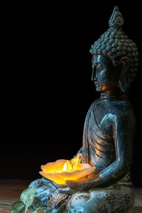 Statua del Buddha in ambiente meditativo