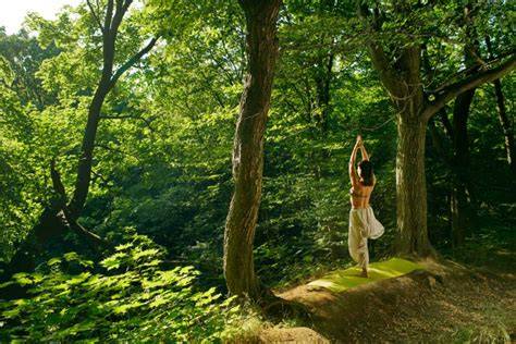 Persona in yoga all’aperto nel bosco