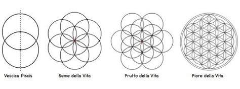 Fiore della Vita e solidi platonici