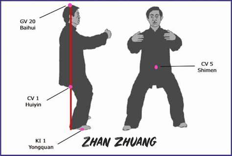 Praticante di Zhan Zhuang posizione dell’albero