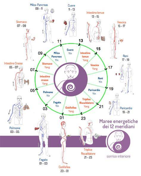 schema dei meridiani principali cinesi