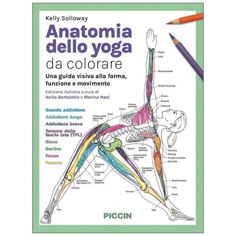 Anatomia del corpo nelle asana yoga