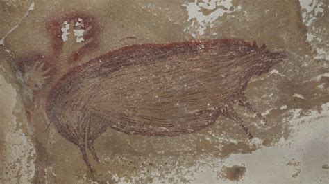 Cinghiale di Sulawesi dipinto nella grotta