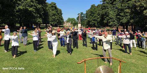 Lezione di Tai Chi in gruppo a Vienna