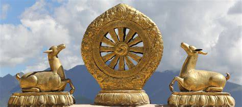 Ruota del Dharma incisa sulla pianta