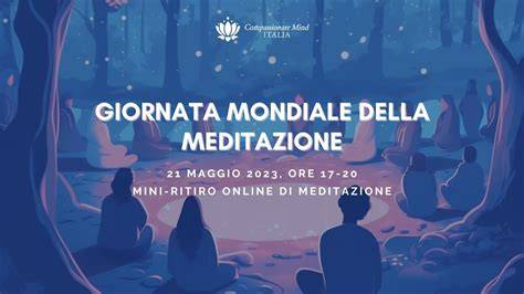 Diffusione mondiale della meditazione trascendentale