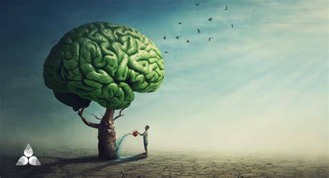 mente che interpreta albero realtà