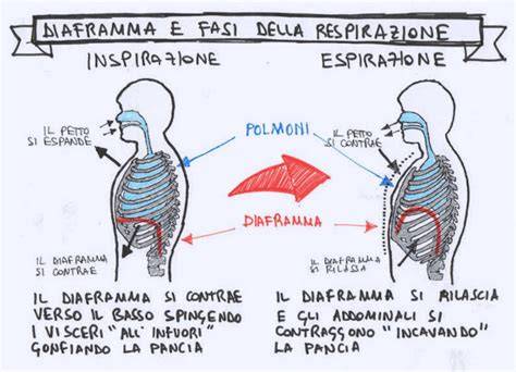 Schema del respiro nel prāṇāyāma